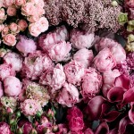 ارسال رایگان اس ام اس عاشقانه برای همسر