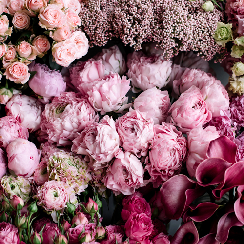روش ارسال اس ام اس عاشقانه برای همسر روش ارسال اس ام اس عاشقانه برای همسر