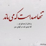 اشعار عاشقانه شاملو به فارسی و انگلیسی